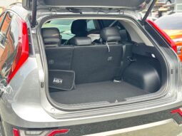 
										Kia Niro Zennith full									