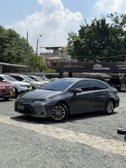 
										TOYOTA COROLLA XE HIBRIDO full									