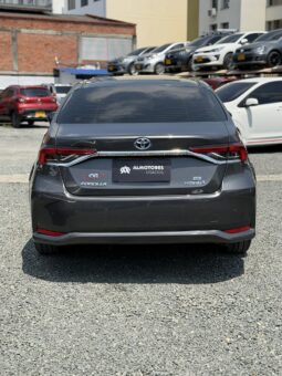 
										TOYOTA COROLLA XE HIBRIDO full									